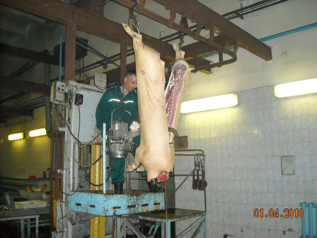 мясо свинины п/т,полуфабрикаты в Орле 21