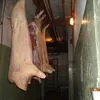 мясо свинины п/т,полуфабрикаты в Орле 22