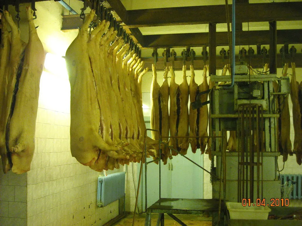 мясо свинины п/т,полуфабрикаты в Орле 19