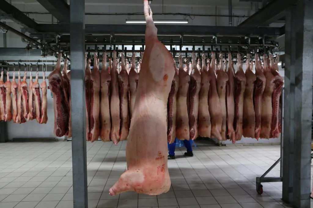 фотография продукта Свинина охл. в п/т,свиноматка  п/п, 2кат