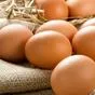 яйцо куриное и перепелиное в Орле и Орловской области 2