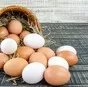 яйцо куриное и перепелиное в Орле и Орловской области